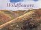 Wildflowers : 30 Postcards cover