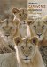Walker's Carnivores Of The World cover