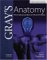 Gray's Anatomy : The Anatomical Basis Of Clinical Practice cover