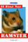 All About Your Hamster cover