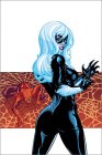 Spider-Man/Black Cat [Click for larger image]