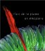 L'art De La Plume En Amazonie : Mona Bismarck Foundation cover