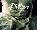 Pillow : A Yellow Silk Book cover
