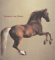 Stubbs & The Horse cover