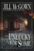 Unlucky For Some : A Novel Of Suspense cover