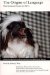 The Origins of Language : What Nonhuman Primates Can Tell You cover