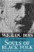 The Illustrated Souls Of Black Folk cover