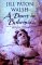 A Desert in Bohemia cover