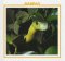 Mambas cover