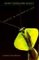 What Good Are Bugs? : Insects in the Web of Life cover