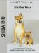 Shiba Inu cover