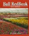 The Ball Red Book cover