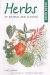 Green Guide : Herbs of Britain and Europe cover