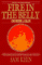 Fire in the Belly : On Being a Man cover
