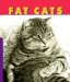 Fat Cats cover