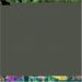 Tropical Plants for Home And Garden cover