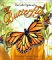 The Life Cycle of a Butterfly