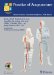 Practice of Acupuncture : Point Location-Techniques-Treatment Options cover