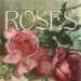 The Little Big Book Of Roses cover