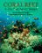  Coral Reef: A City That Never Sleeps