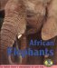 African Elephants cover