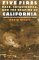 Five Fires : Race, Catastrophe, and the Shaping of California cover