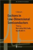 Excitons in Low-Dimensional Semiconductors : Theory, Numerical Methods, Applications [Click for larger image]