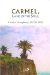 Carmel, Land of the Soul : Living Contemplatively in Today's World cover