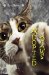Adopted Paws cover