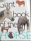 Giant Book of the Horse cover