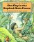 1 Day in the Tropical Rain Forest cover