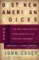 Best New American Voices 2004 cover