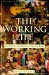 The Working Life : The Promise and Betrayal of Modern Work cover