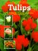 Tulips cover