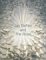 Jay Defeo and the Rose cover