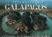 Spectacular Galapagos : Exploring an Extraordinary World cover