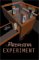 The Amarna Experiment cover