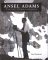  Ansel Adams: Divine Performance