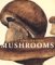 Mushrooms cover