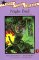 Night Bird : A Story of the Seminole Indians cover