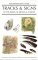 Tracks & Signs of the Birds of Britain and Europe cover