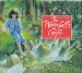 The Waterfall's Gift cover