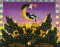 C Is for City cover