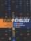 Basic Pathology : An Introduction to the Mechanisms of Disease cover