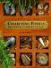 Collecting Fossils : Hold Prehistory in the Palm of Your Hand cover