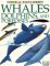  Whales, Dolphins and Porpoises