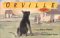 Orville : A Dog Story cover