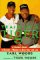 Training a Tiger : A Father's Account of How to Raise a Winner in Both Golf and Life cover