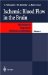 Ischemic Blood Flow in the Brain cover
