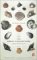 Shell Collector cover